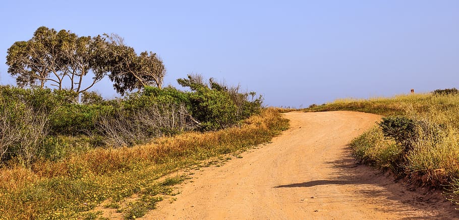 Dirt Road, Trees, Landscape, Scenery, countryside, cavo greko HD wallpaper