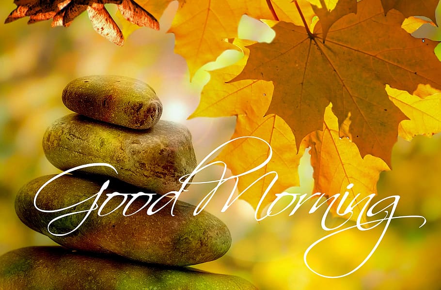 maple leaf and stones with good morning text overlay, hinge, autumn