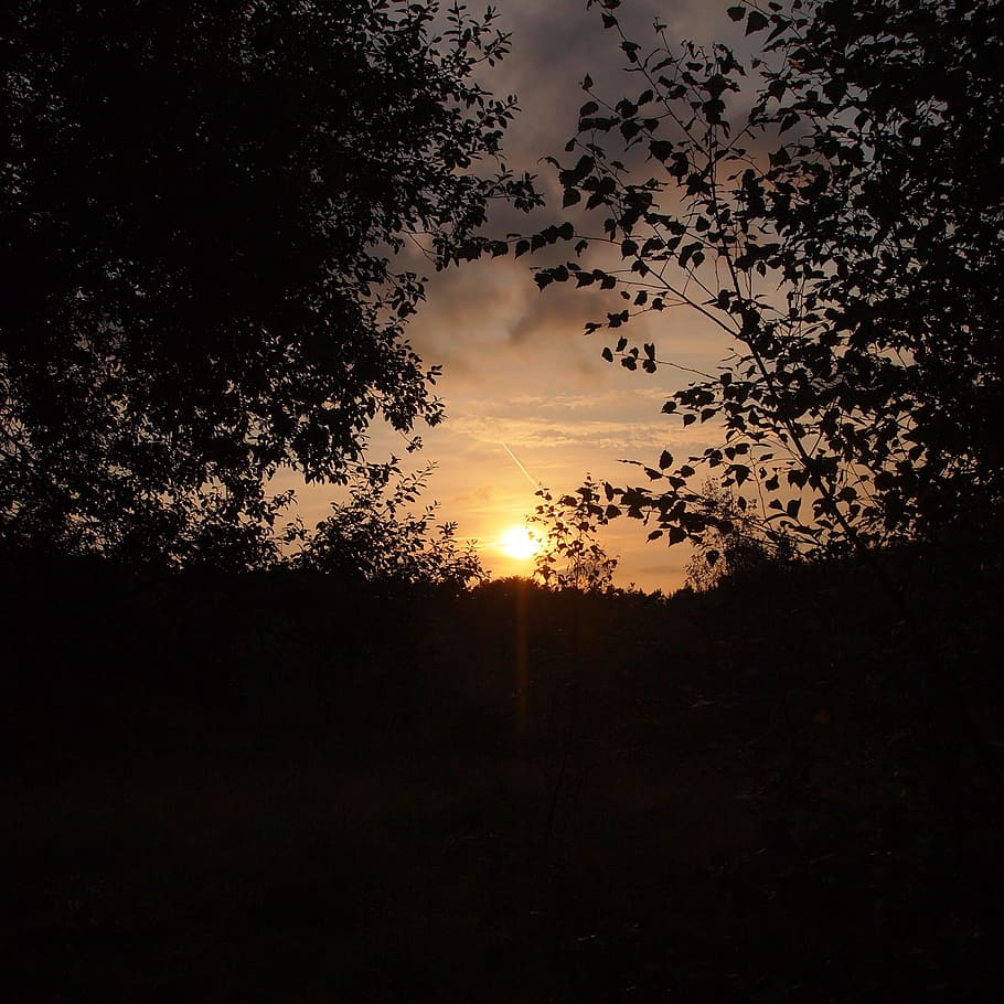Sunset, Evening, Orange, Silhouette, evening sky, yellow, clouds HD wallpaper