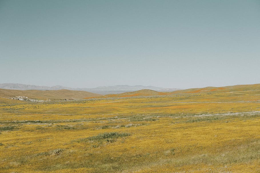 land covered in grass, landscape photography of brown grassland HD wallpaper