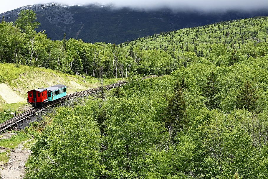railway, train, cog, mountain, hampshire, woods, forest, railroad Track HD wallpaper