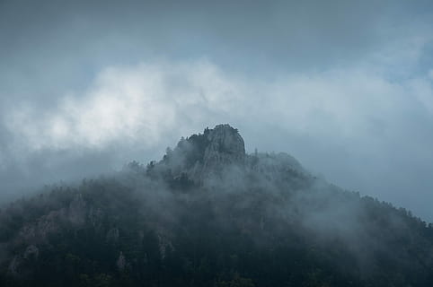 Aerial photo of tree covered mountain, foggy mountain, cloud HD wallpaper