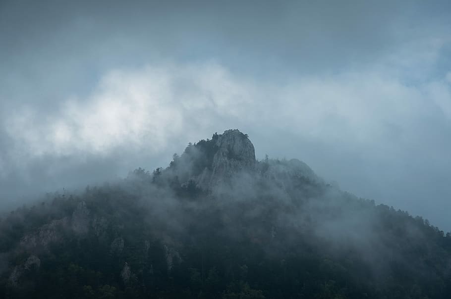 Aerial photo of tree covered mountain, foggy mountain, cloud HD wallpaper