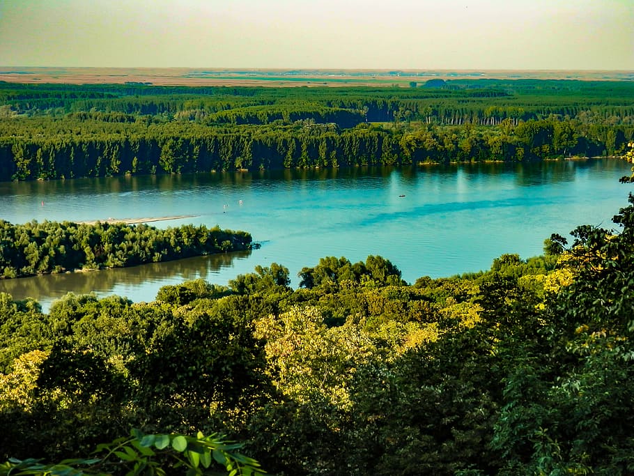 danube, river, water, scene, green, tranquil scene, tranquility HD wallpaper
