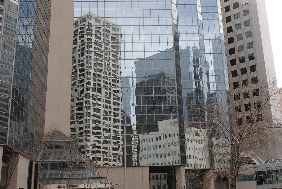 canada, calgary, skyscraper, mirror, downtown, homes, built structure HD wallpaper
