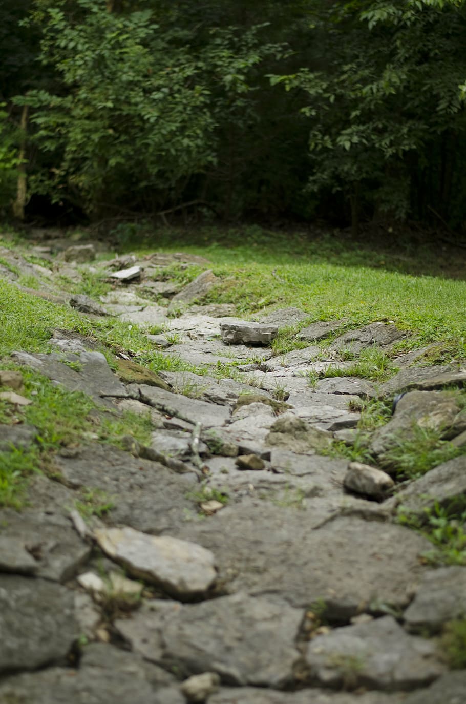 stone path, nature, green, natural, walkway, outdoor, landscape HD wallpaper