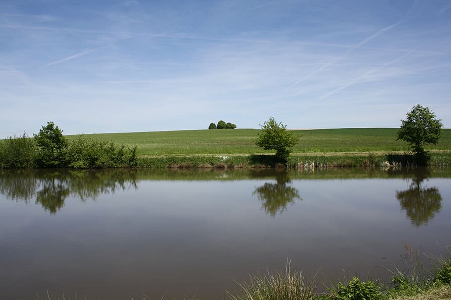 rest, lake, water, silent, mirroring, tranquility, plant, reflection HD wallpaper