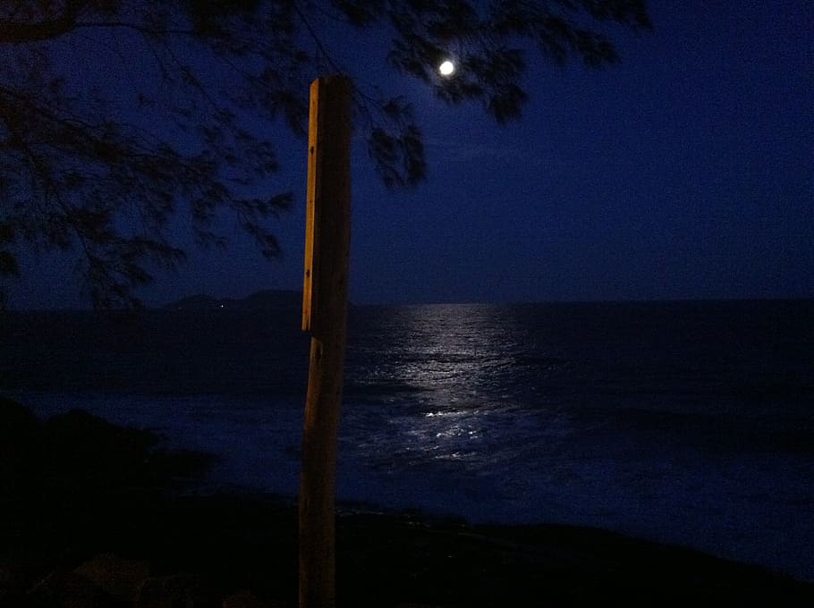 moonlight, ocean, night, sea, nature, water, luminosity, dark HD wallpaper