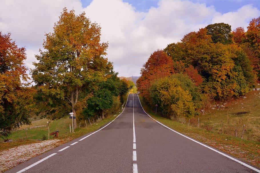road, trees, autumn, mountain, the european path, e5, lessinia HD wallpaper