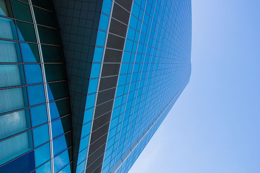 low angle photography of curtain building at daytime, architecture HD wallpaper