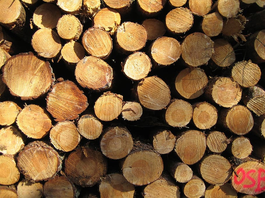 wood, nature, durable, logging, wood - Material, lumber Industry HD wallpaper