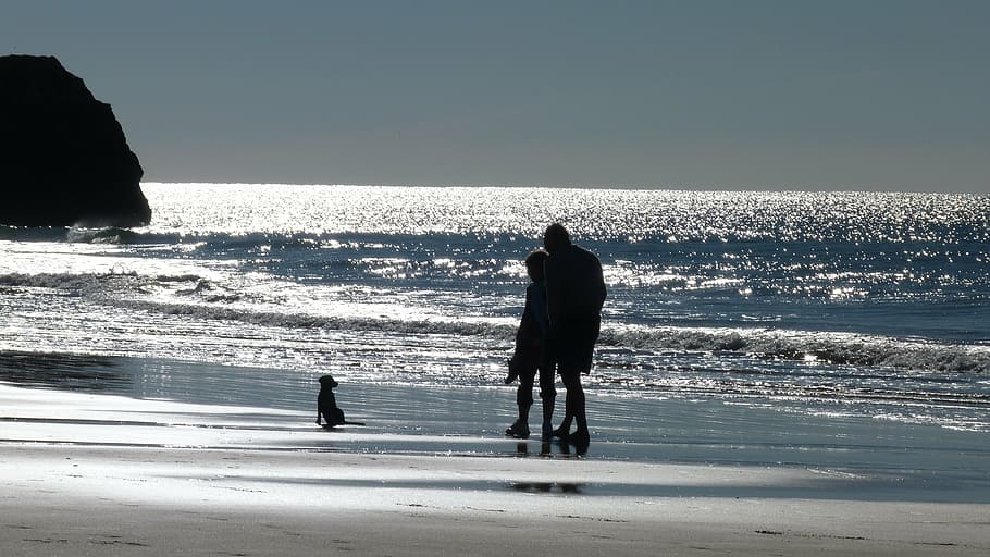 silhouette of people and seashore, ocean, beach, water, back light HD wallpaper
