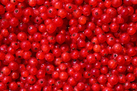 bunch of red balls, currants, background, fruit, berry, food HD wallpaper