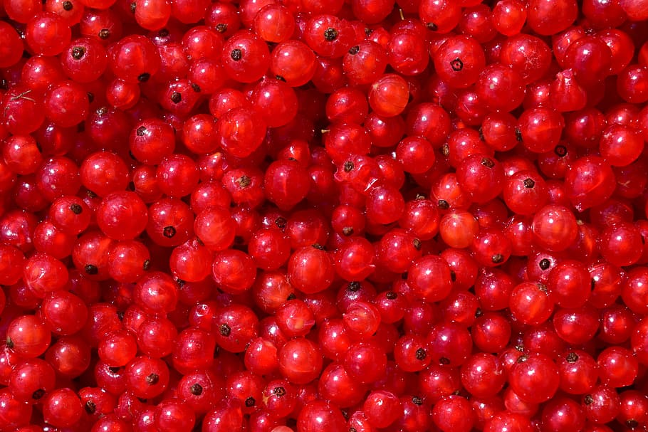 bunch of red balls, currants, background, fruit, berry, food HD wallpaper
