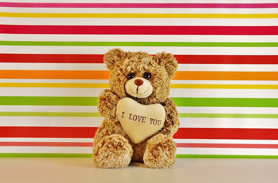 brown bear holding heart plush toy, love, teddy, bears, cute, HD wallpaper