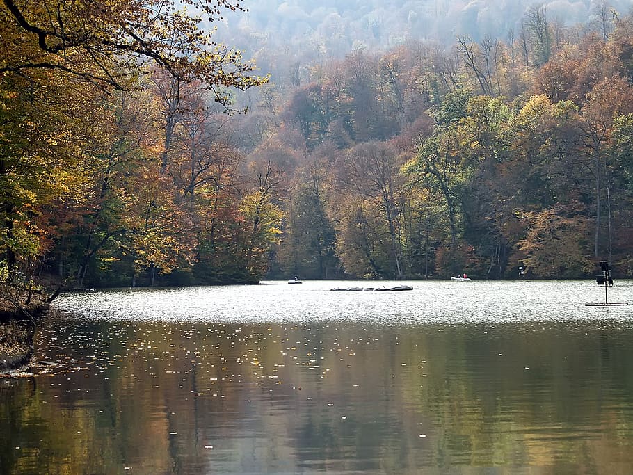 armenia, fall, autumn, forest, trees, lake, water, reflections HD wallpaper