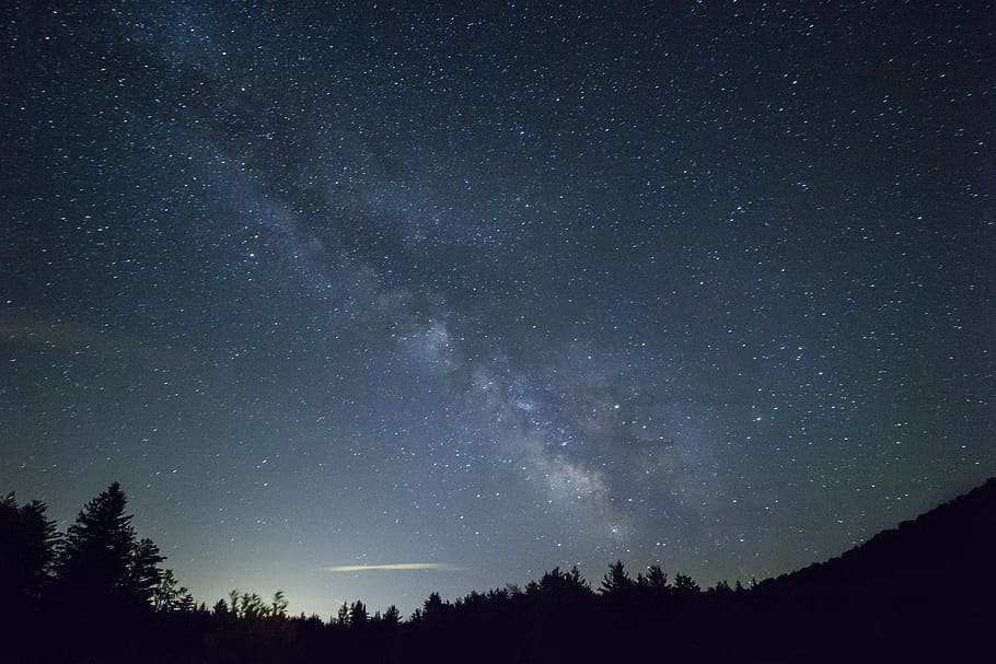 Wild-sky, photo of trees, night, star, silhouette, star - Space HD wallpaper