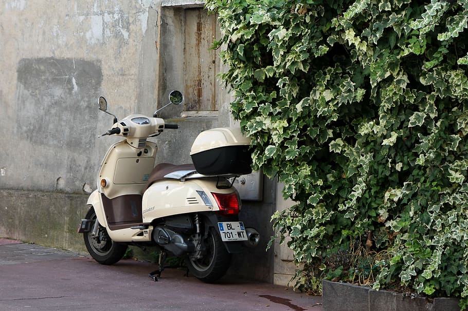 vespa, roller, two wheeled vehicle, ivy, south of france, flair, HD wallpaper