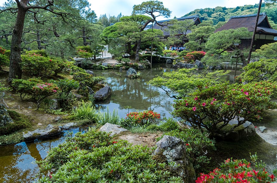body of water surrounded by flowers and plants near house, ginkaku-ji gardens