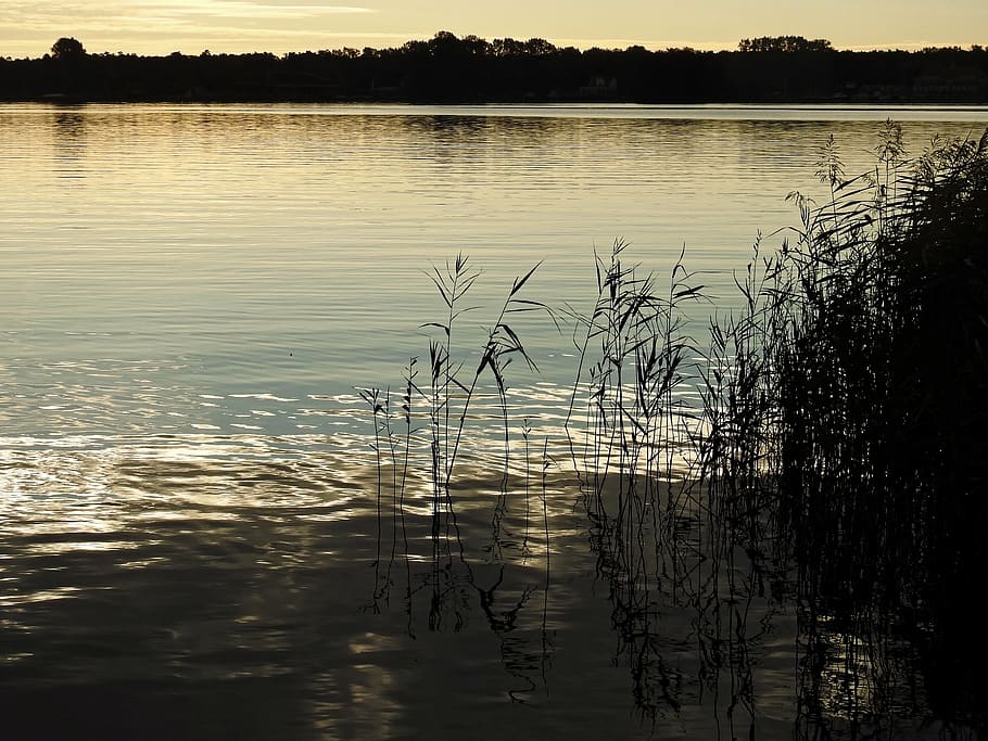 lake, twilight, water, sunset, abendstimmung, landscape, badesee HD wallpaper
