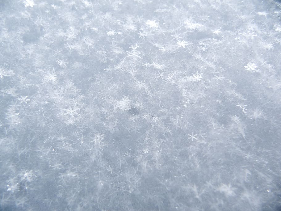 snow, winter, white, cold, weather, backgrounds, cold temperature HD wallpaper