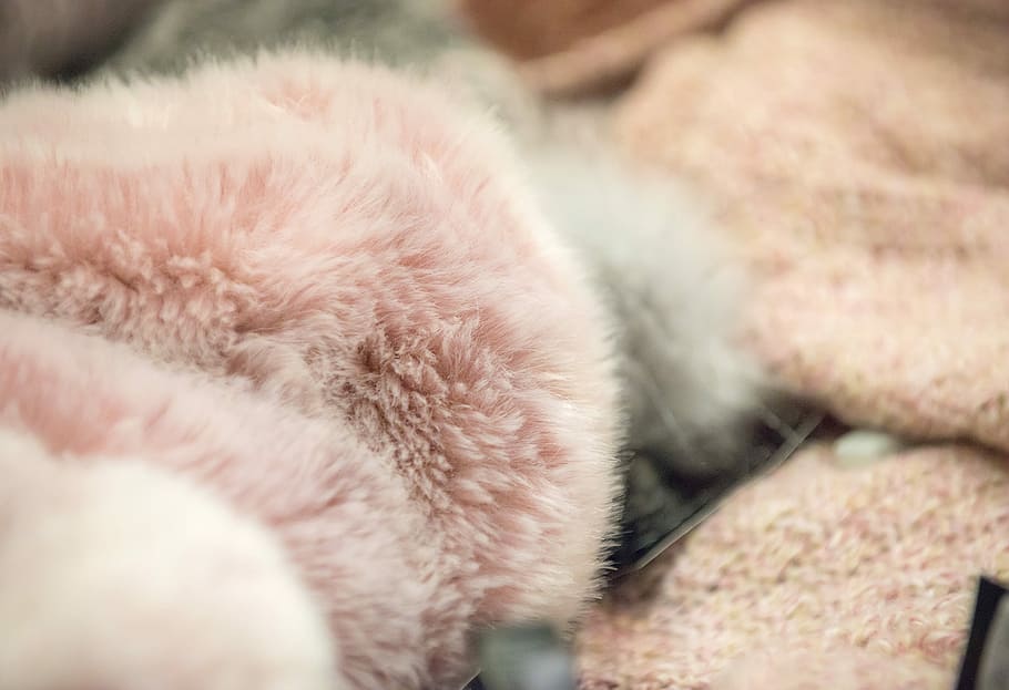 Fashion, Pink, Warm, fur, softness, wool, fluffy, close-up, HD wallpaper