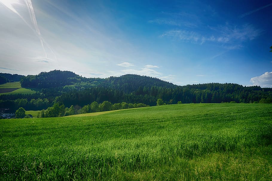 Landscape, Meadow, Forest, Sky, Austria, mühlviertel, hilly HD wallpaper