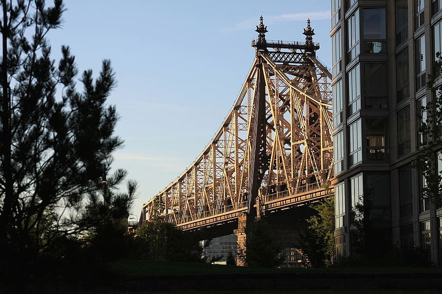 bridge, tower, architecture, building, apartment, tree, sky HD wallpaper