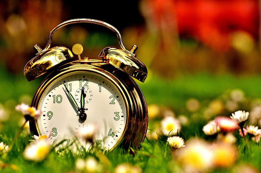 brown double bell alarm clock on green field, the eleventh hour, HD wallpaper