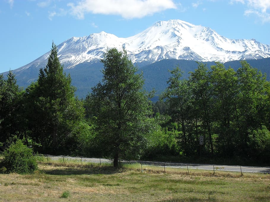 mount shasta, trees, blue, green, landscape, mountain, beauty HD wallpaper