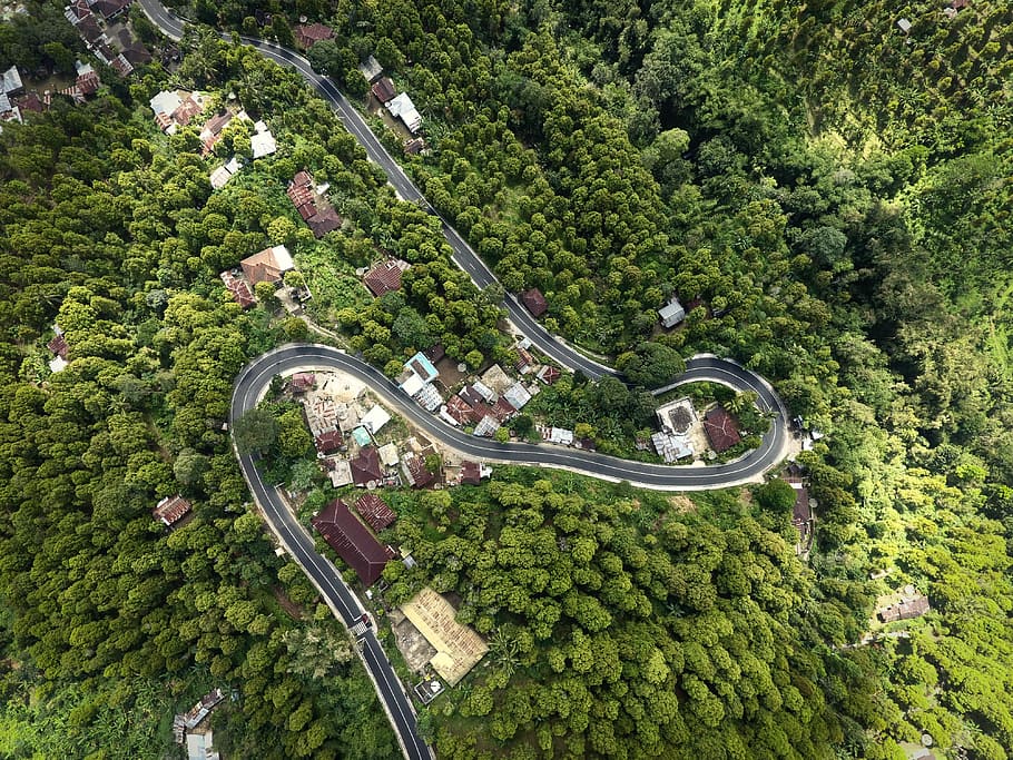 aerial view photography of asphalt road, areal view of gray concrete road surrounding trees HD wallpaper