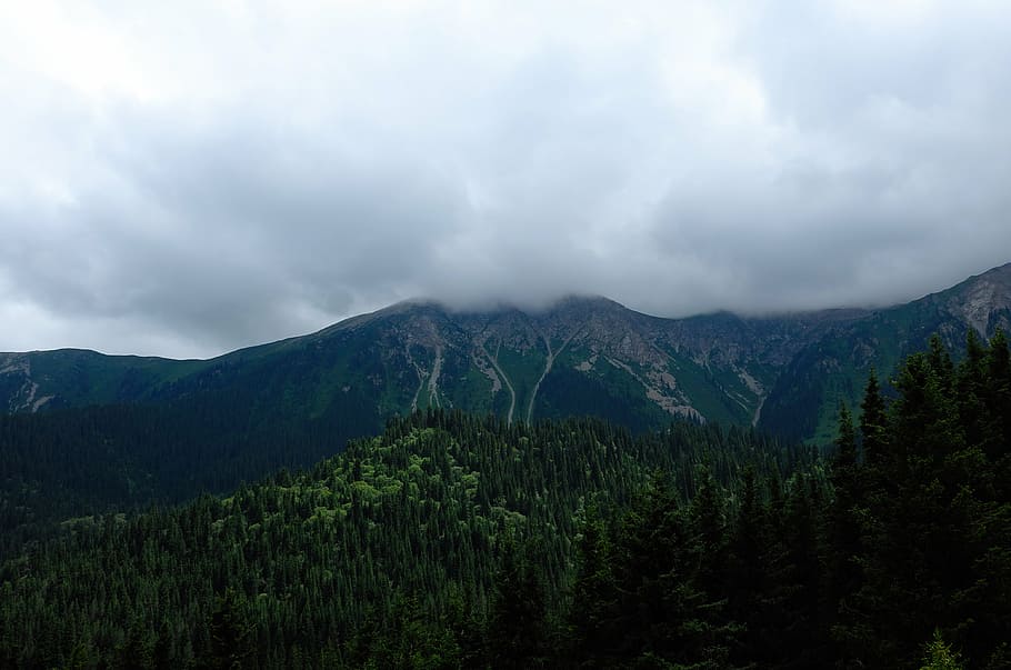 clouds, landscape, mountain, nature, outdoors, scenic, trees HD wallpaper