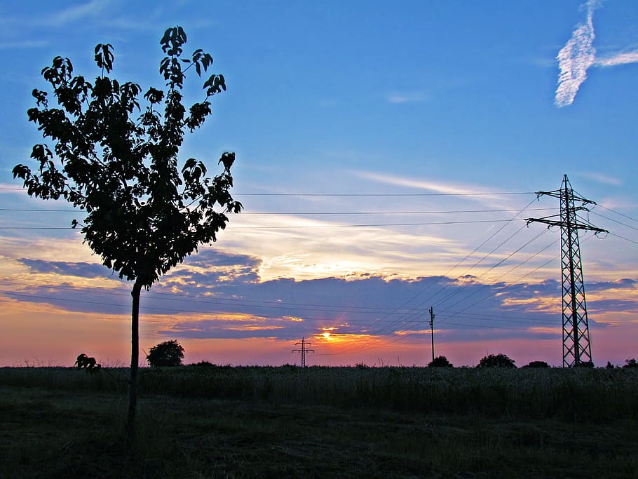 sky, west, tree, the sun, sunset, clouds, nature, electricity HD wallpaper