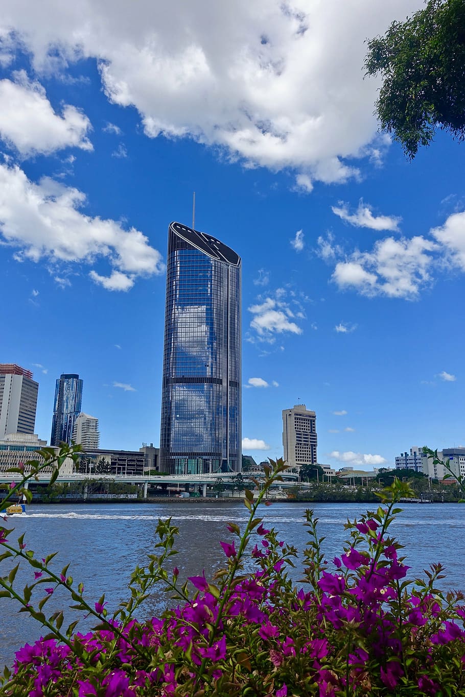 skyscraper, brisbane, river, architecture, modern, cityscape HD wallpaper