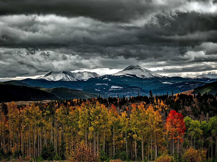 red and green leaf trees under grey and white sky, colorado HD wallpaper