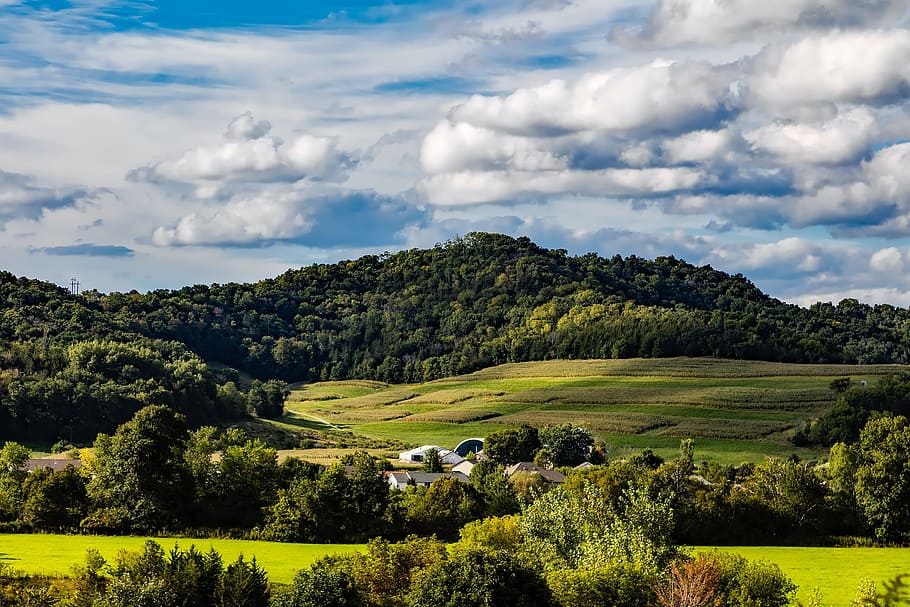 green leafed tree, wisconsin, hills, sky, clouds, farm, rural HD wallpaper