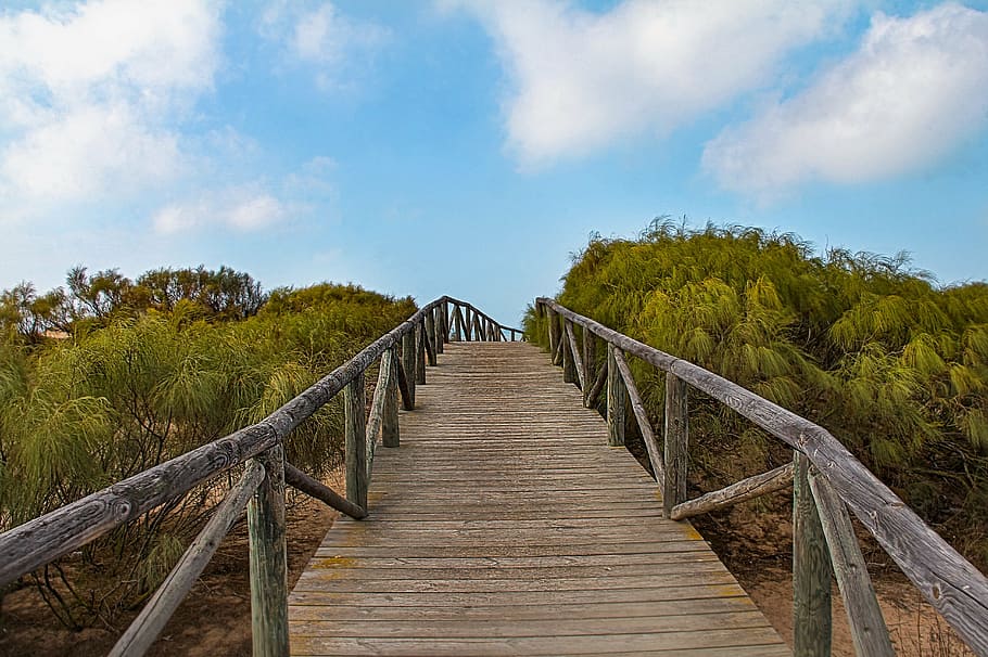 gateway, beach, shrimp, chipiona, cadiz, jaimepf, mico1996 HD wallpaper