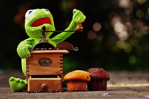 kermit, frog, grinder, coffee beans, funny, cute, toys, green HD wallpaper