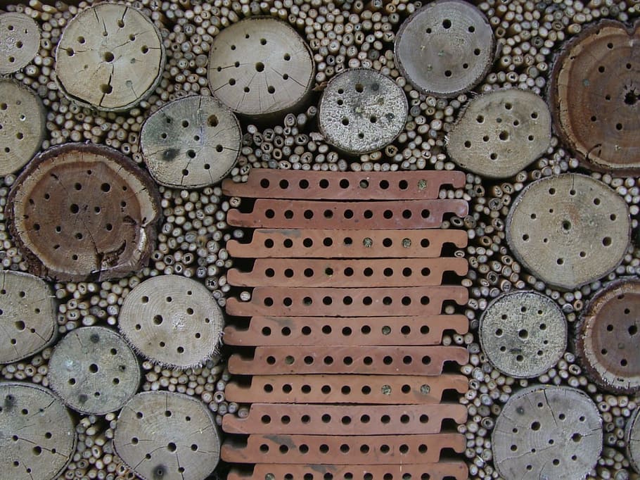 insect hotel, nesting help, drill holes, entry openings, tree grates HD wallpaper