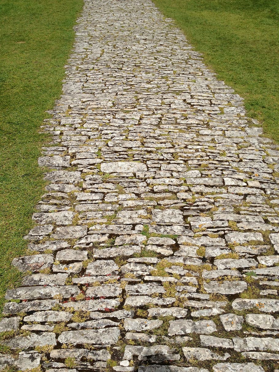 Texture, Corfe Castle, Dorset, Path, stone, way, agriculture, HD wallpaper