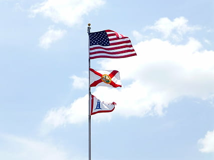 flags, blowing, national, blue, white, patriotism, wind, symbol HD wallpaper