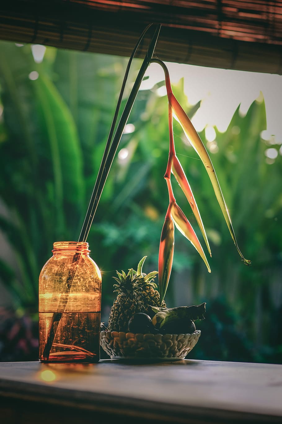 birds of paradise plant on amber glass jar, green and orange plant in macro shot photography HD wallpaper