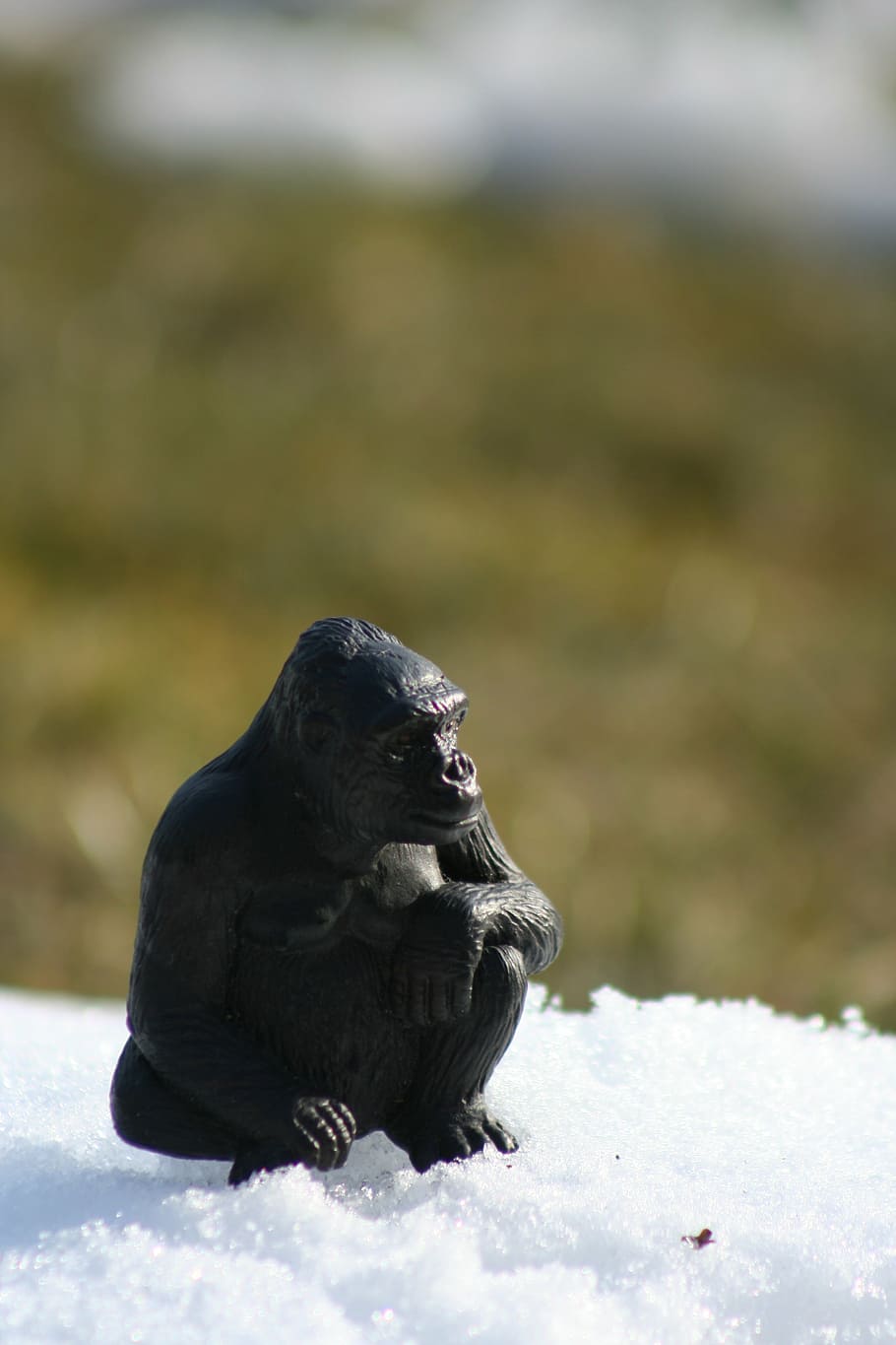 monkey, figure, ape, animal, gorilla, wild, lonely, snow, still life HD wallpaper