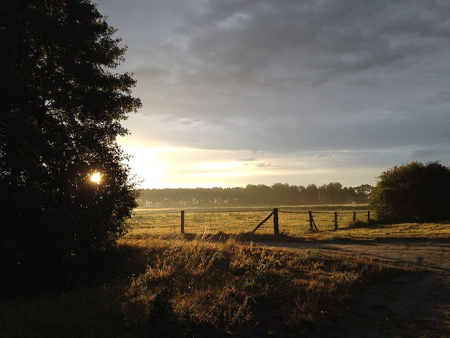 landscape, germany, evening, sun, reported, sunrise, sky, morning HD wallpaper