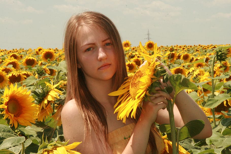sunflower, girl, yellow, one person, flowering plant, leisure activity HD wallpaper