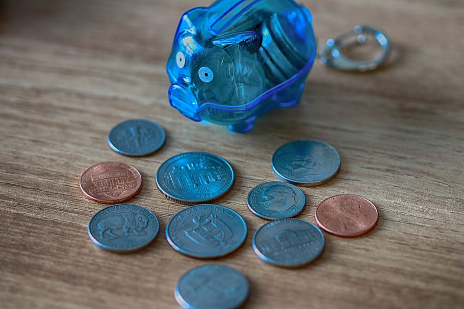 savings, dólares, finance, coin, blue, wood - material, currency HD wallpaper
