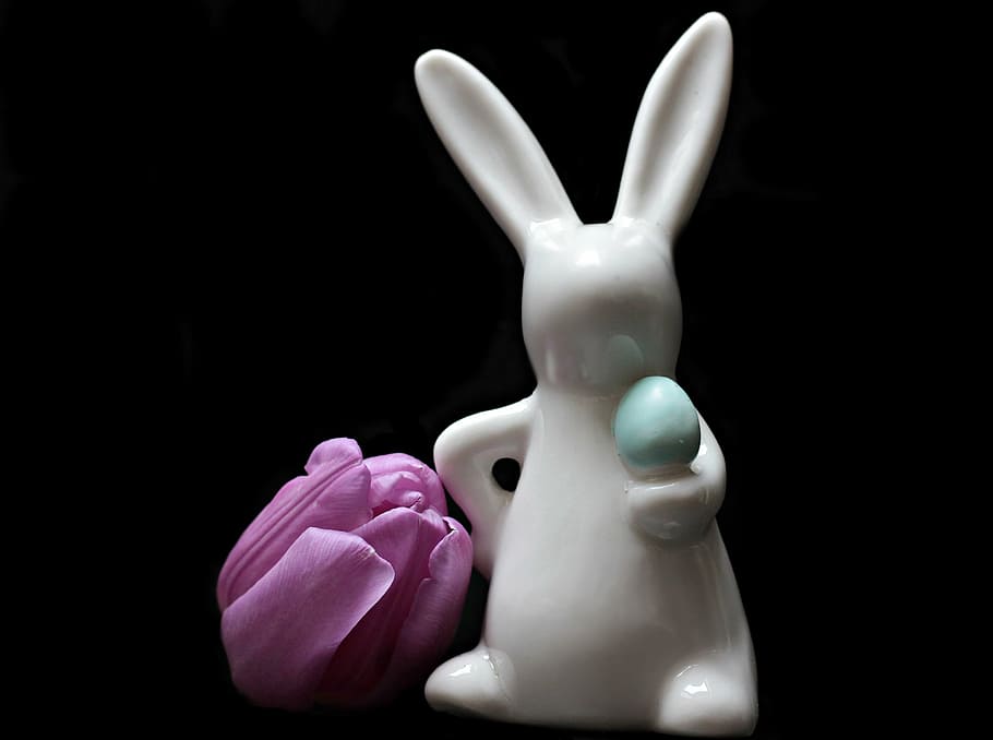 white ceramic rabbit, tulip, flower, hare, easter bunny, tulpenbluete, HD wallpaper