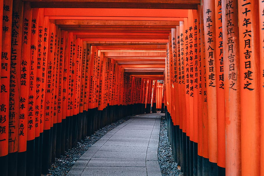 orange and black posts with pathway, architecture, japan, kyoto HD wallpaper