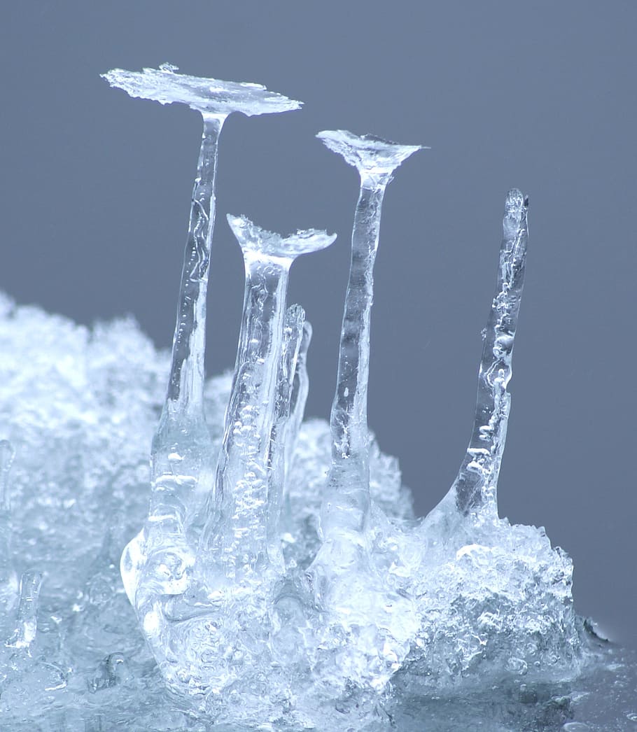 macro shot photography of ice formation, icicle, cold, sea HD wallpaper