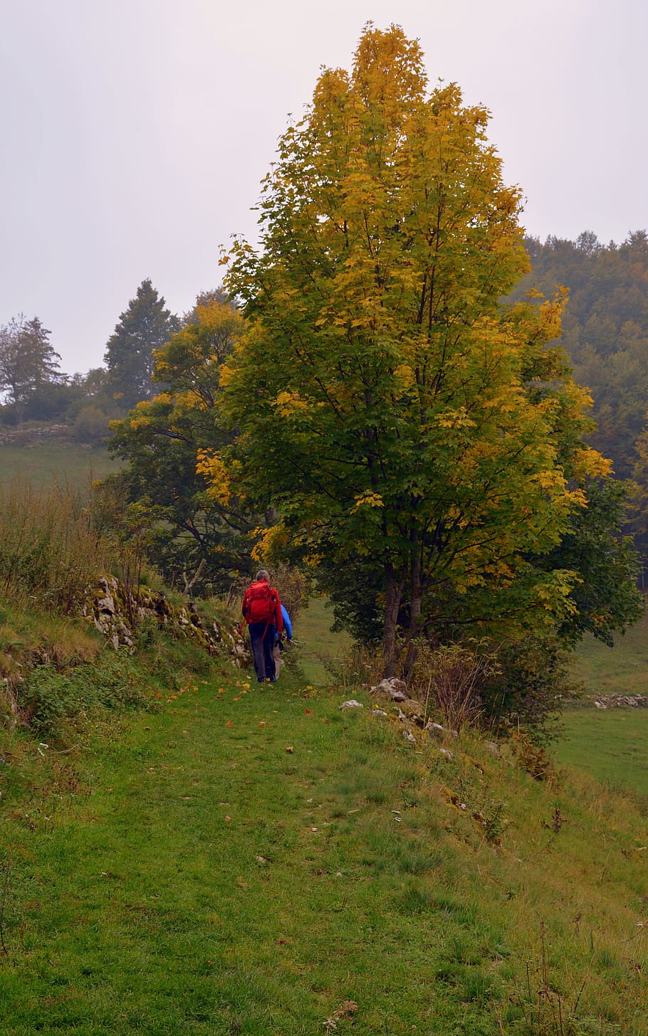 excursion, autumn, trail, walk, trekking, the european path HD wallpaper